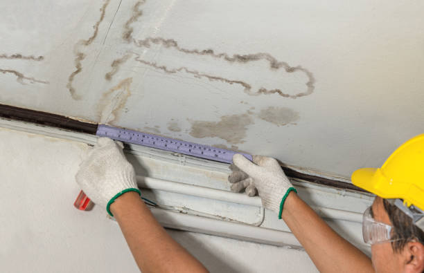 Reliable Water Damage contractor in Porters Falls, WV by Water Damage Irwin